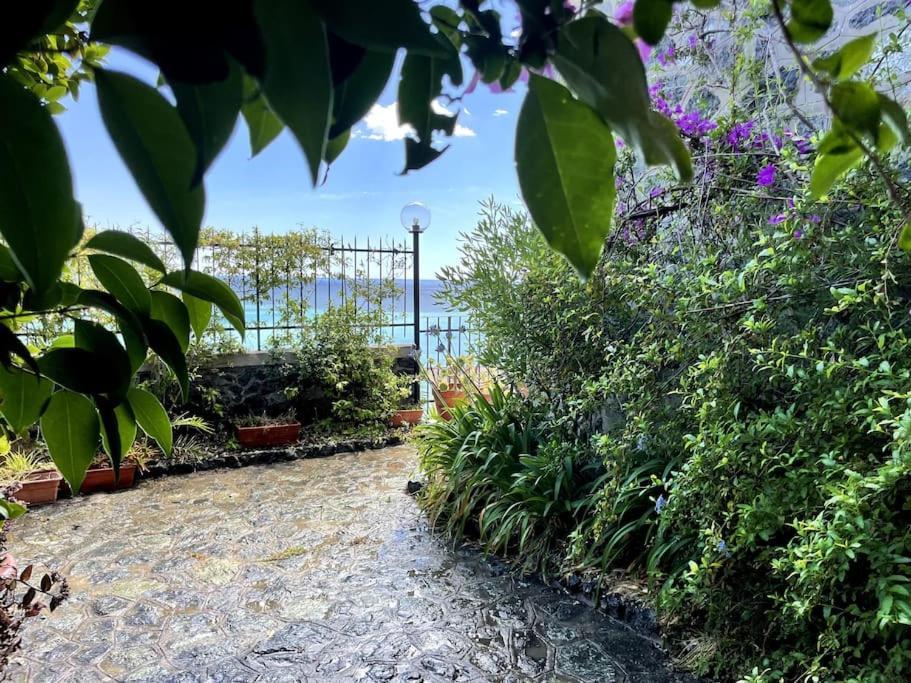 Ocean View Villa With Fast Wi-Fi And Elevator To Town Levanto Ngoại thất bức ảnh